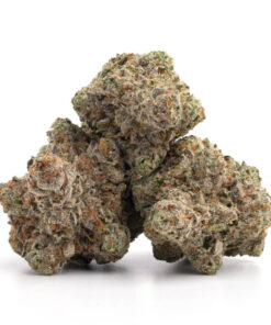 Truffle Cake Strain